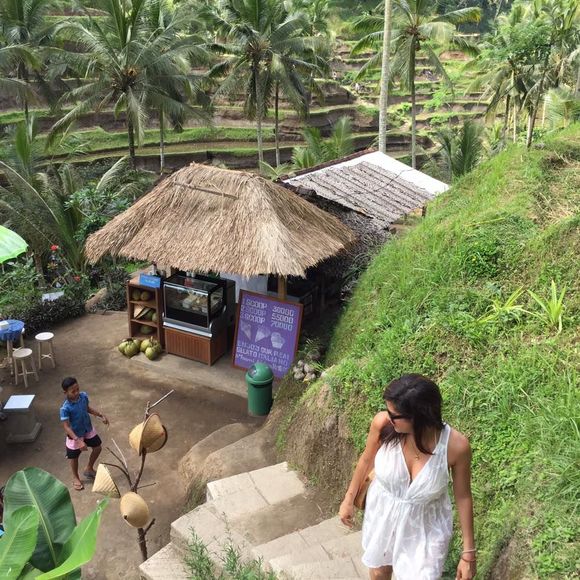 Meet your Posher, Yvette - Picture 1 of 1